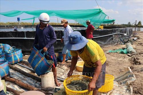 Việt Nam có tiềm năng lớn để phát triển nuôi biển. Tuy nhiên, lĩnh vực này hiện vẫn còn gặp nhiều khó khăn, thách thức, đặc biệt là phát triển nuôi biển công nghiệp. Thay đổi tư duy trong thực hiện đang là yêu cầu đặt ra.